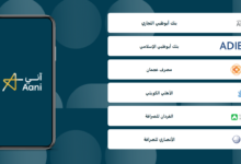 منصة آني للدفع الفوري