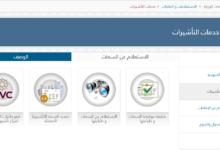 الاستعلام عن التأشيرة في قطر