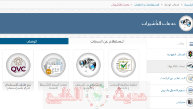 الاستعلام عن التأشيرة في قطر