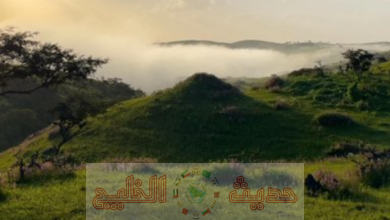 خريف صلالة 2026